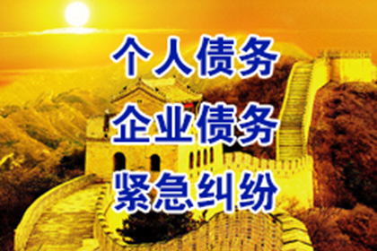 陆丰清账公司